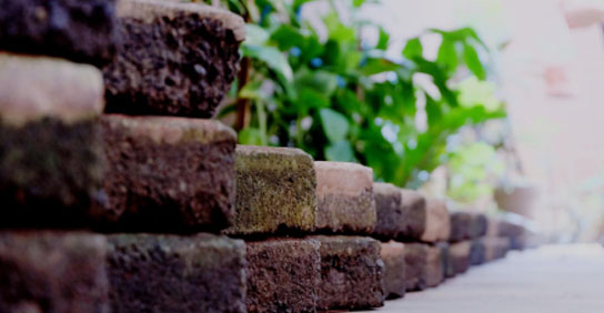 Close-up of weathered bricks forming a path, surrounded by lush green plants; soft focus background creates a serene atmosphere.
