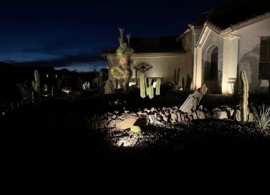 A house surrounded by a cactus garden, illuminated by moonlight, creating a serene nighttime atmosphere.